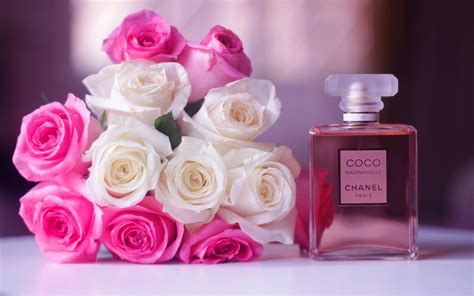 chanel rose